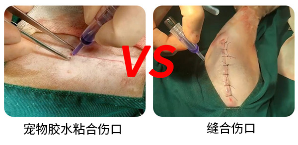 伤口对比.jpg