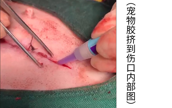 错误示范.jpg