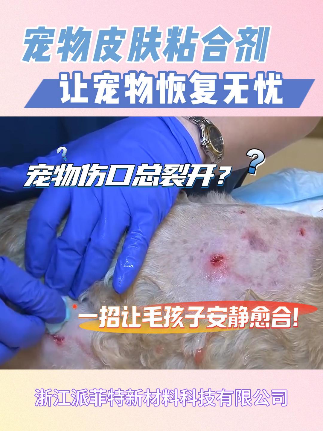 宠物术后伤口总裂开？VetGlu皮肤粘合剂3秒成膜，降低感染风险！