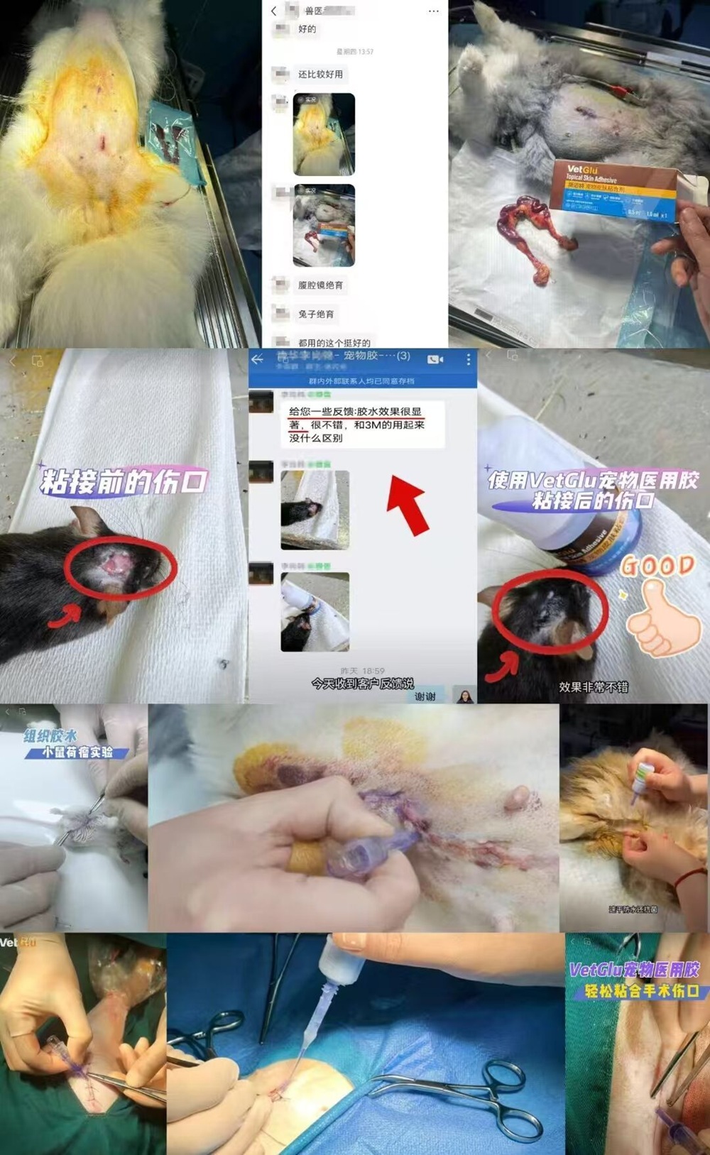 QQ图片20250627105843.jpg