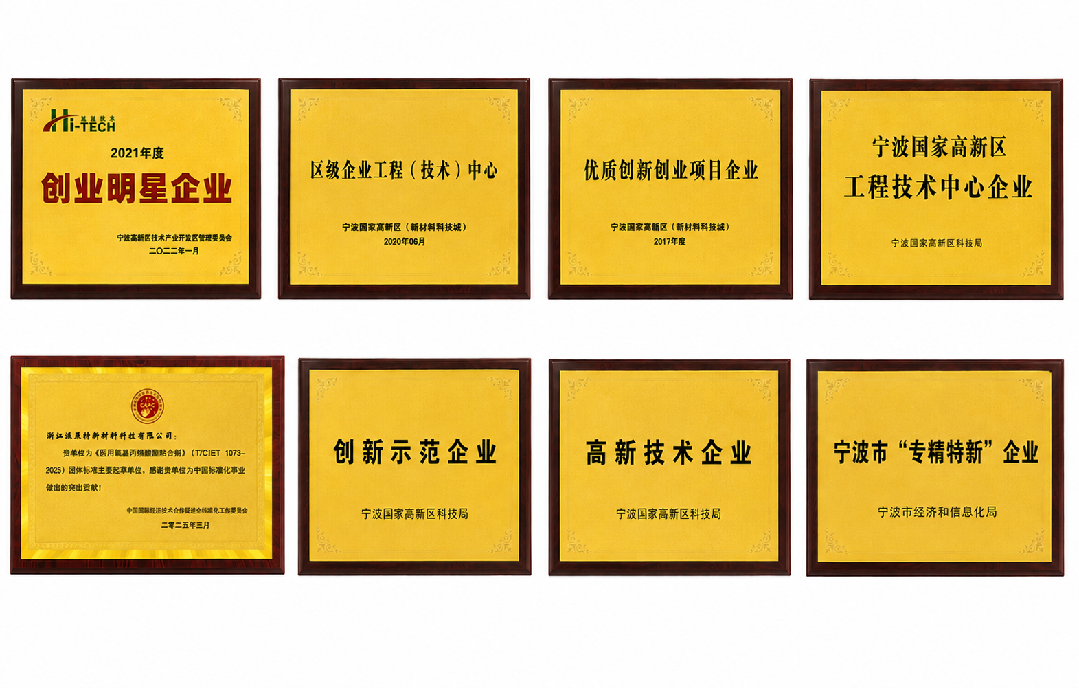 派菲特 荣誉证书.png