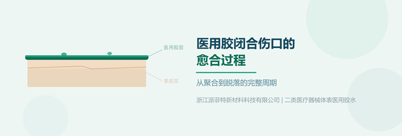 01_主题Banner图.png